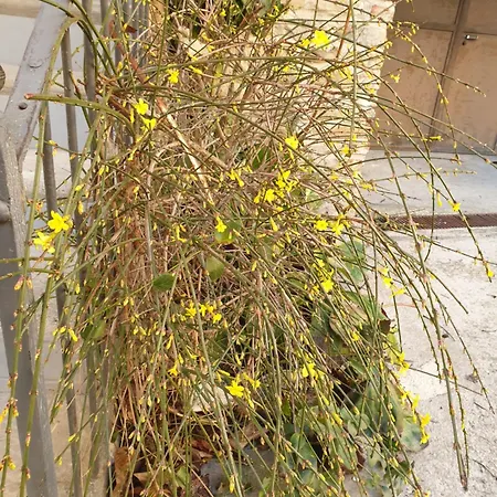 I Colori Dell'arcobaleno Casa de Campo *